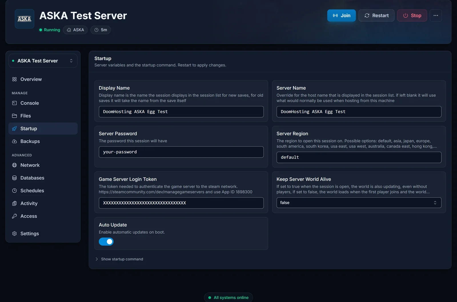 Der Reiter Startup im Panel mit den Feldern für Anzeigename, Servername, Passwort und Region